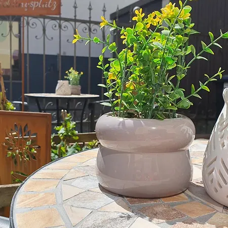 Moderne Ferienwohnung,sauna Im Haus, Parkplatz Hunde Willkommen, Nahe Schloss, Waldeisenbahn, Hermansbad, Unesco Geopark, Nahe Polnischer Markt, Lage Fuer Ausflugsziele Zum Wandern Oder Radfahren