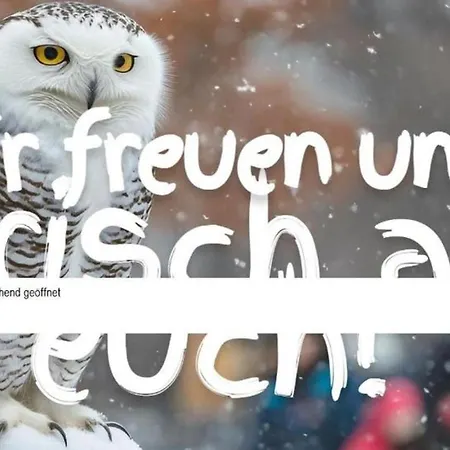 Ruhige Winterwohnung ,Sauna Im Haus, Parkplatz Hunde Willkommen, Nahe Schloss, Waldeisenbahn, Hermansbad, Unesco Geopark, Nahe Polnischer Markt, Top Lage Fuer Ausflugsziele Zum Wandern Oder Radfahren *