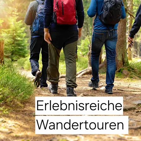 Apartmán Moderne Ferienwohnung,sauna Im Haus, Parkplatz Hunde Willkommen, Nahe Schloss, Waldeisenbahn, Hermansbad, Unesco Geopark, Nahe Polnischer Markt, Lage Fuer Ausflugsziele Zum Wandern Oder Radfahren *