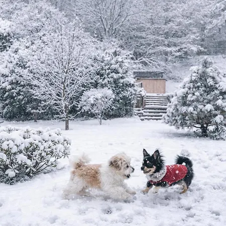 Moderne Ferienwohnung,sauna Im Haus, Parkplatz Hunde Willkommen, Nahe Schloss, Waldeisenbahn, Hermansbad, Unesco Geopark, Nahe Polnischer Markt, Lage Fuer Ausflugsziele Zum Wandern Oder Radfahren *