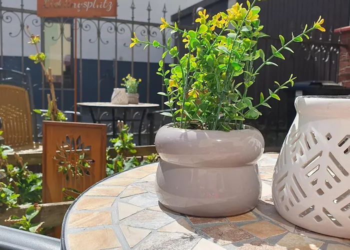 Moderne Ferienwohnung,sauna Im Haus, Parkplatz Hunde Willkommen, Nahe Schloss, Waldeisenbahn, Hermansbad, Unesco Geopark, Nahe Polnischer Markt, Lage Fuer Ausflugsziele Zum Wandern Oder Radfahren