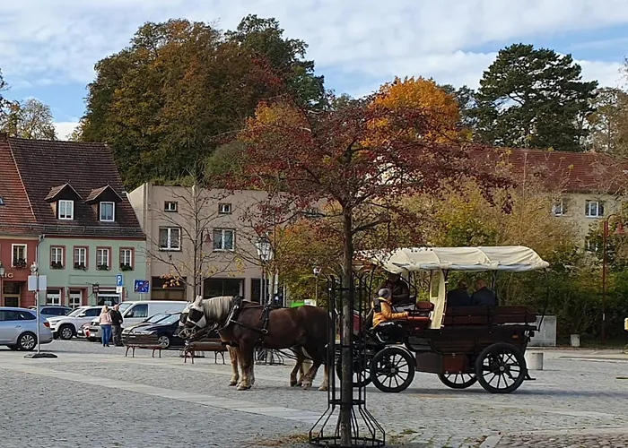 Moderne Ferienwohnung,sauna Im Haus, Parkplatz Hunde Willkommen, Nahe Schloss, Waldeisenbahn, Hermansbad, Unesco Geopark, Nahe Polnischer Markt, Lage Fuer Ausflugsziele Zum Wandern Oder Radfahren Διαμέρισμα Bad Muskau